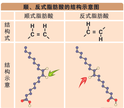 反式脂肪酸，你真的了解嗎？